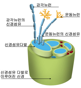 의약품 이미지